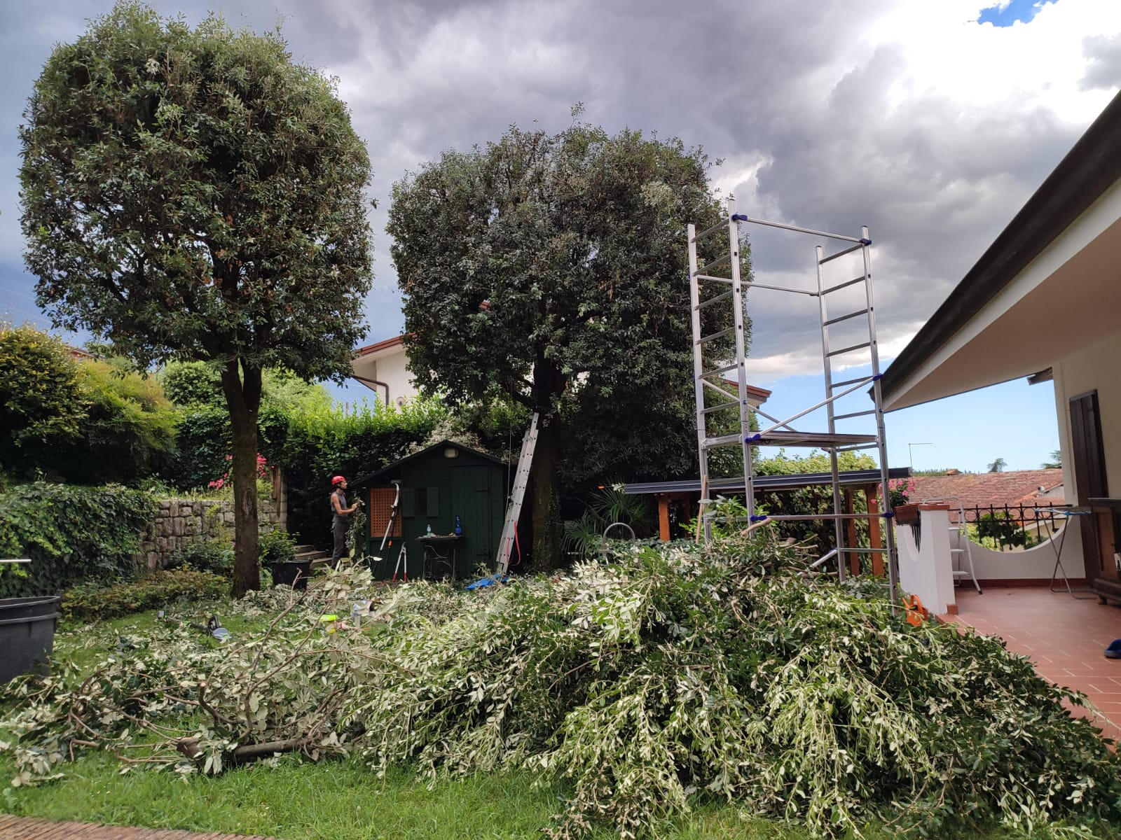 Abbattimento controllato di albero vicino a casa in Friuli Manutenzione giardino privato con servizi professionali a Udine, Gorizia, Trieste