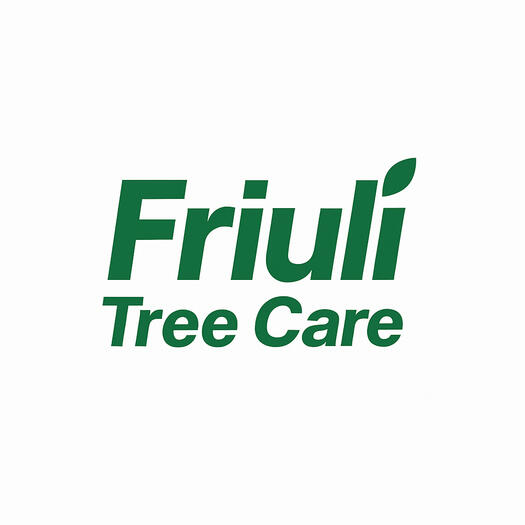 Friuli Tree Care Tree Climbing e Potatura Professionale in Friuli Tree climber certificato al lavoro su albero ad alto fusto in Friuli , Servizi di potatura alberi e cura del verde in Friuli Venezia Giulia, Giardiniere specializzato in potatura e abbattimento alberi